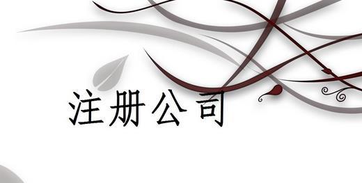 保险能做到债务隔离、合理代理记账?
